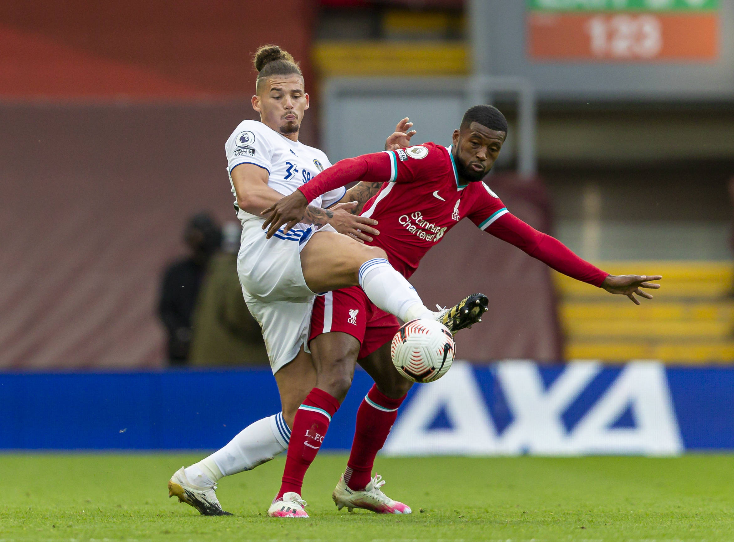 但今年的情 但今年的情